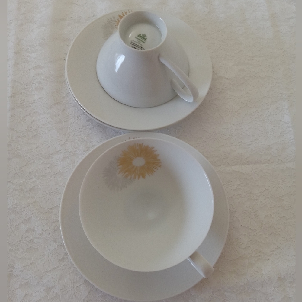 Rosenthal German Cups and Saucers set